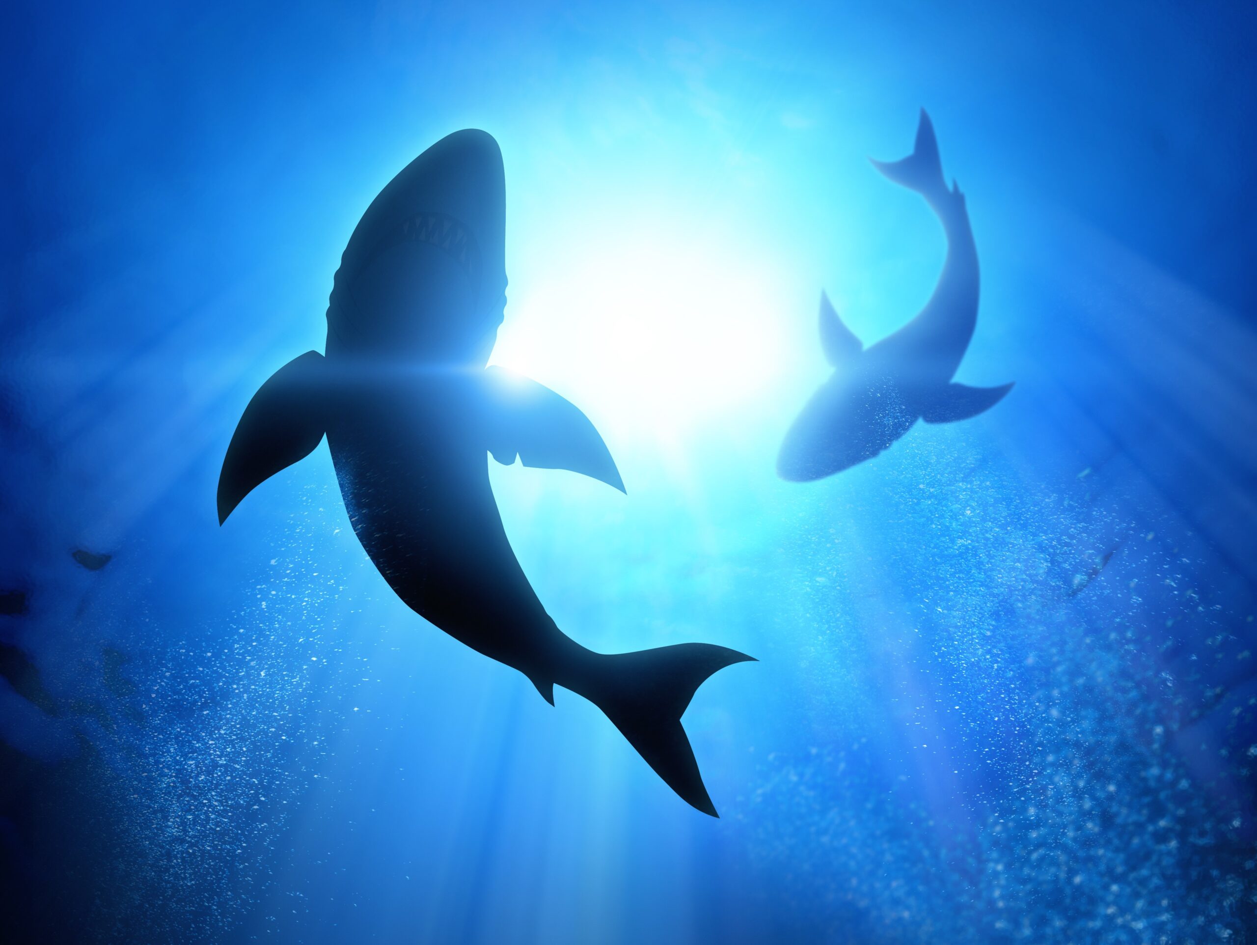 The Dangers of Shallow Business and Financial Acumen